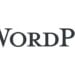Wordpress Uzmanı Onur Özden